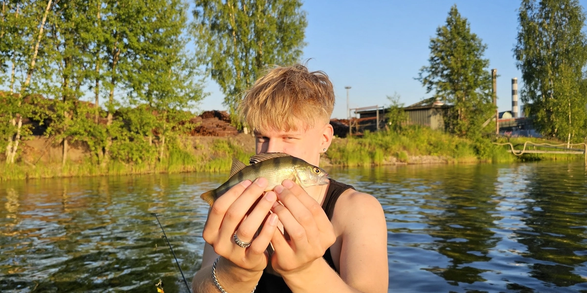 Artikkelin kuva