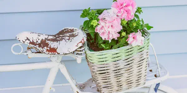 Vanhan pyörän DIY-projekti – hurmaava koriste puutarhaan!